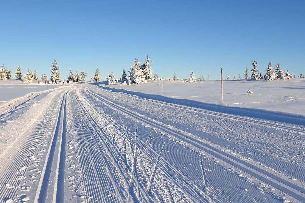 Beautiful Penthouse With Panoramic View At Sjusjoen Apartment Bagian luar foto